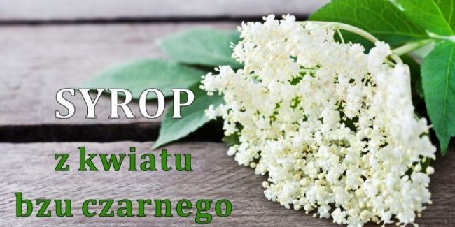 syrop-z-kwiatu-bzu-czarnego